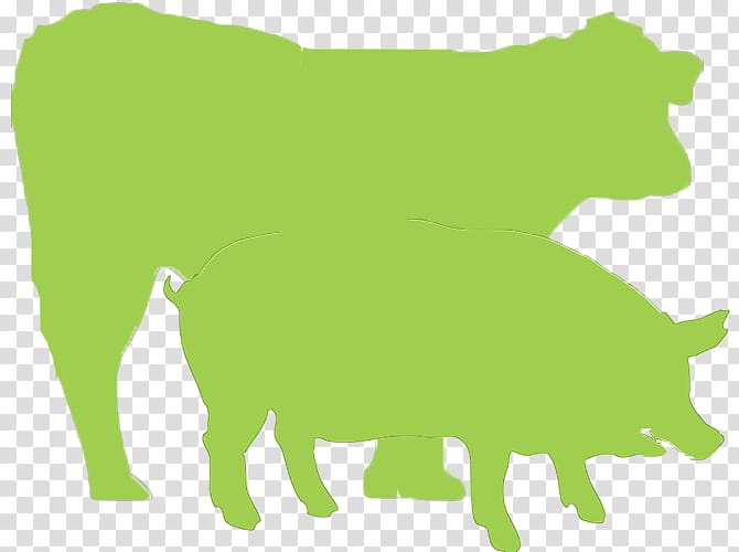 Green Grass, Cattle, Pig, Veterinary Medicine, Sheep, Dog, Animal, Trichinosis transparent background PNG clipart