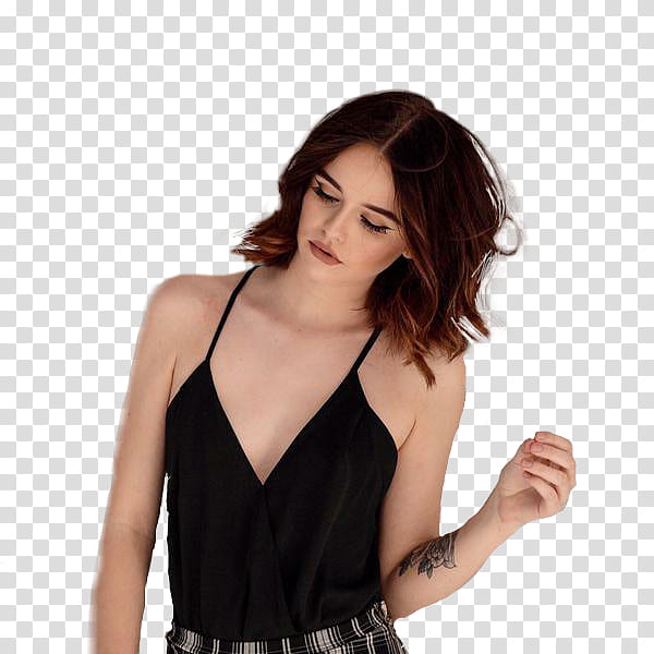 Pack Acacia Brinley, Acacia  icon transparent background PNG clipart