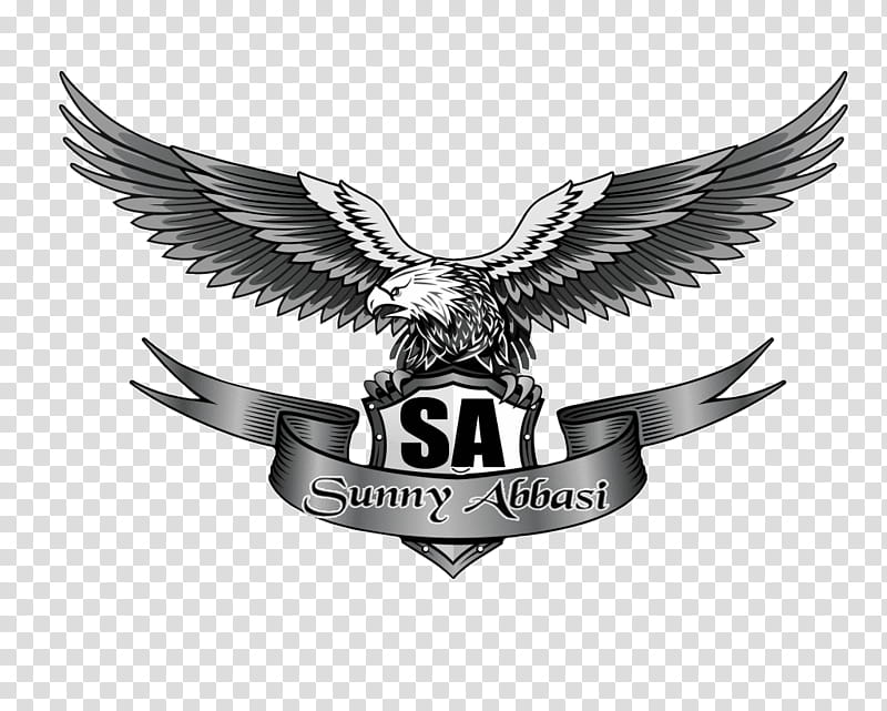 Eagle Logo, Bald Eagle, Golden Eagle, Emblem, Wing, Symbol, Badge, Crest transparent background PNG clipart