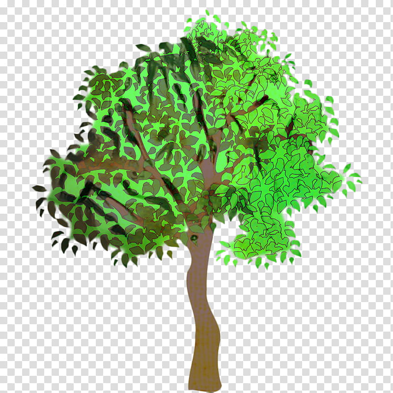 Oak Tree Leaf, Branch, Cartoon, Arborist, Forest, Shrub, Spruce, Green transparent background PNG clipart
