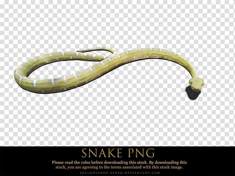 snake, yellow and white snake transparent background PNG clipart