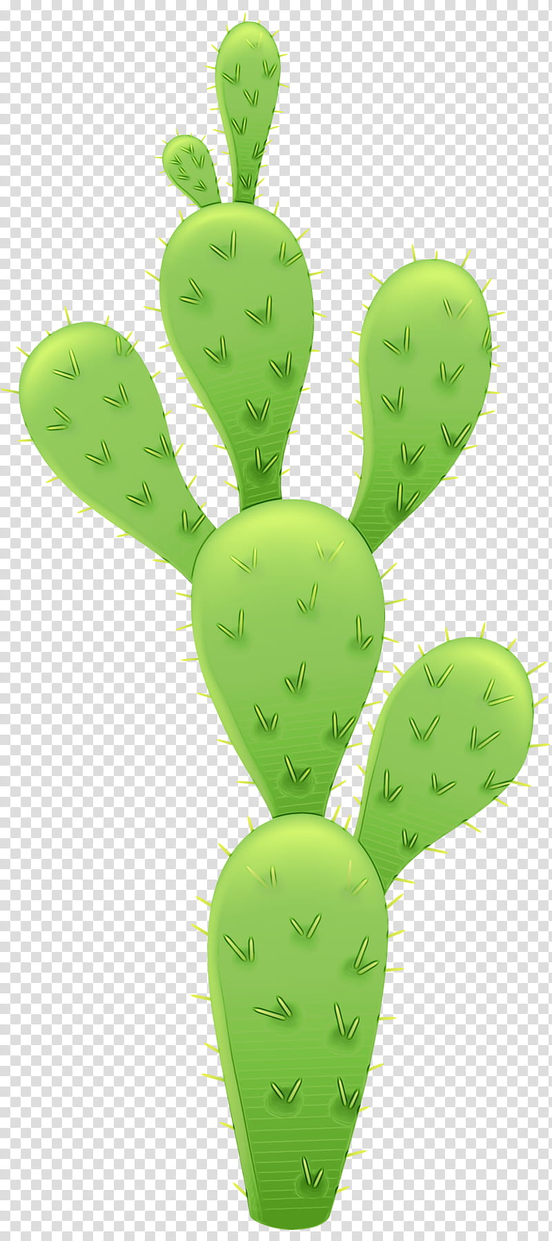 Bunny Ears, Cactus, Plants, Bunny Ears Cactus, Barbary Fig, Cactus Flowers, Succulent Plant, Eastern Prickly Pear transparent background PNG clipart