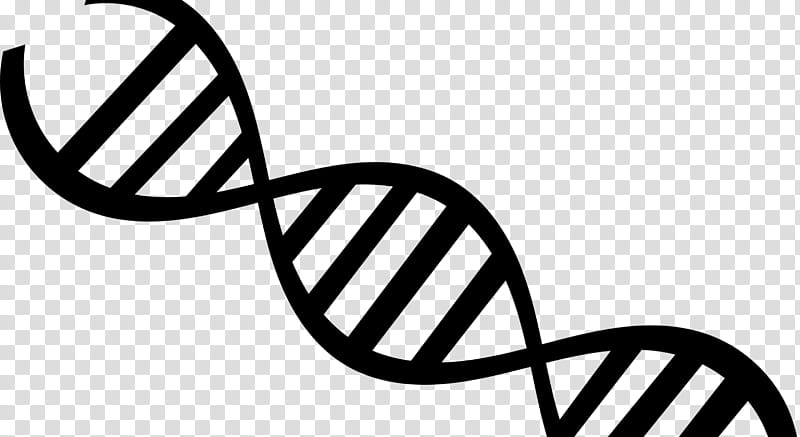 Double Helix, Dna, Nucleic Acid, Nucleic Acid Double Helix, Dna Technology, Biology, Genetics, Rna transparent background PNG clipart