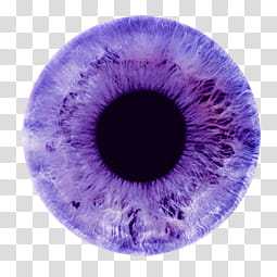 Iris , purple eye transparent background PNG clipart