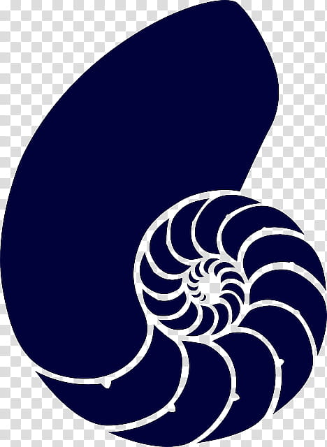 Nautilus Circle