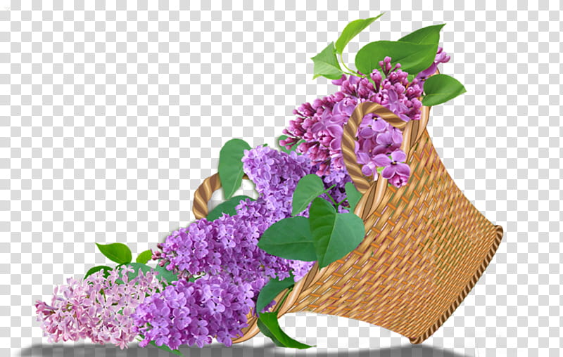Floral Flower, Garden Roses, Blue Rose, Lilac, Floral Design, Vase, Drawing, Red transparent background PNG clipart