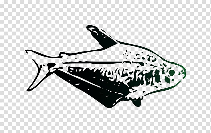 Fish, Car, Manta Ray, Rays And Skates transparent background PNG clipart