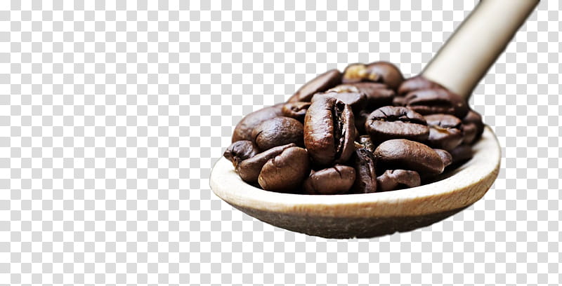 Chocolate, Caffeine, Food, Jamaican Blue Mountain Coffee, Ingredient, Cuisine, Java Coffee, Bean transparent background PNG clipart