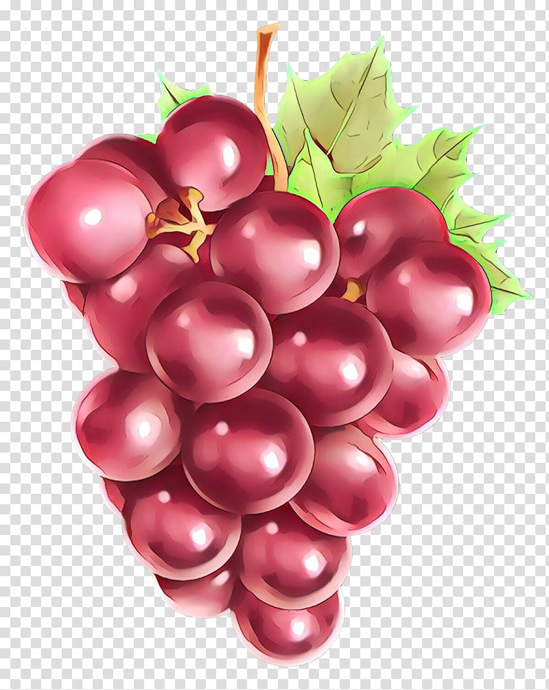 grape seedless fruit fruit grapevine family natural foods, Cartoon, Plant, Vitis, Superfood, Flowering Plant transparent background PNG clipart