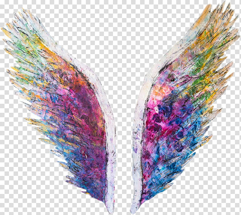 Angel Wings, Street Art, Painting, Graffiti, Artist, Printmaking, Mural, Street Art In Melbourne transparent background PNG clipart