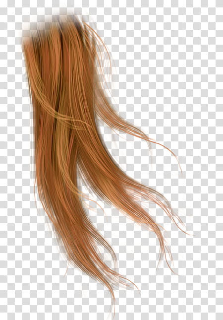 Woman Hair, Wig, Brown Hair, Cabelo, Black Hair, Hair Coloring, Step Cutting, Layered Hair transparent background PNG clipart