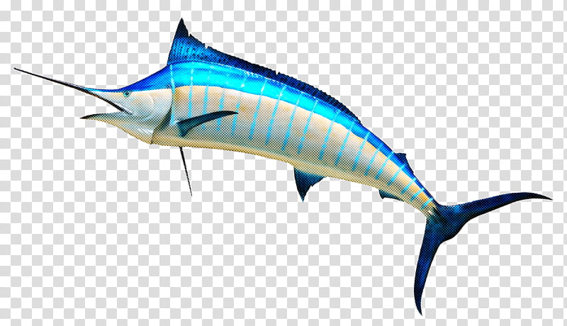 fish swordfish sailfish marlin atlantic blue marlin, Fin, Tuna, Bonyfish transparent background PNG clipart