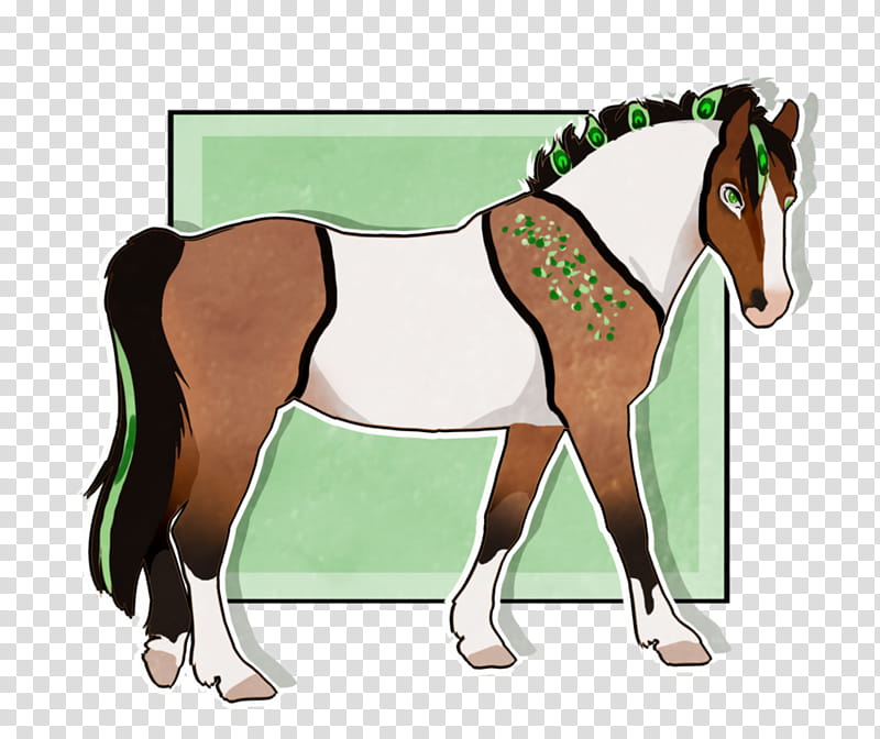 Horse, Foal, Mustang, Mare, Stallion, Rein, Saddle, Horse Harnesses transparent background PNG clipart