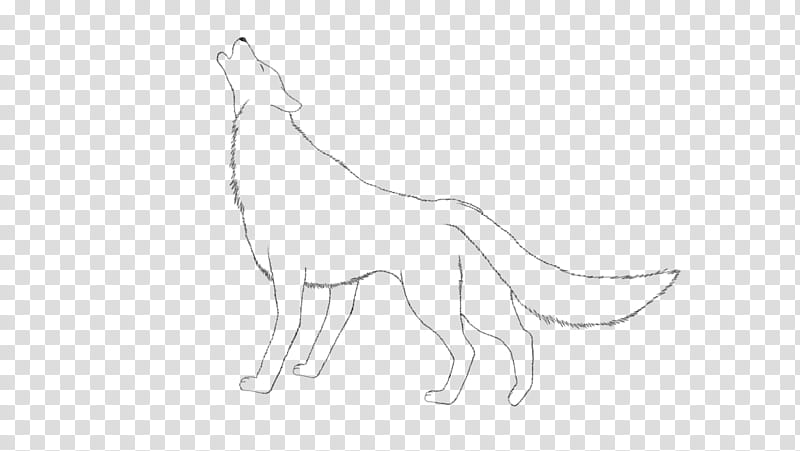 Howling wolf lineart transparent background PNG clipart