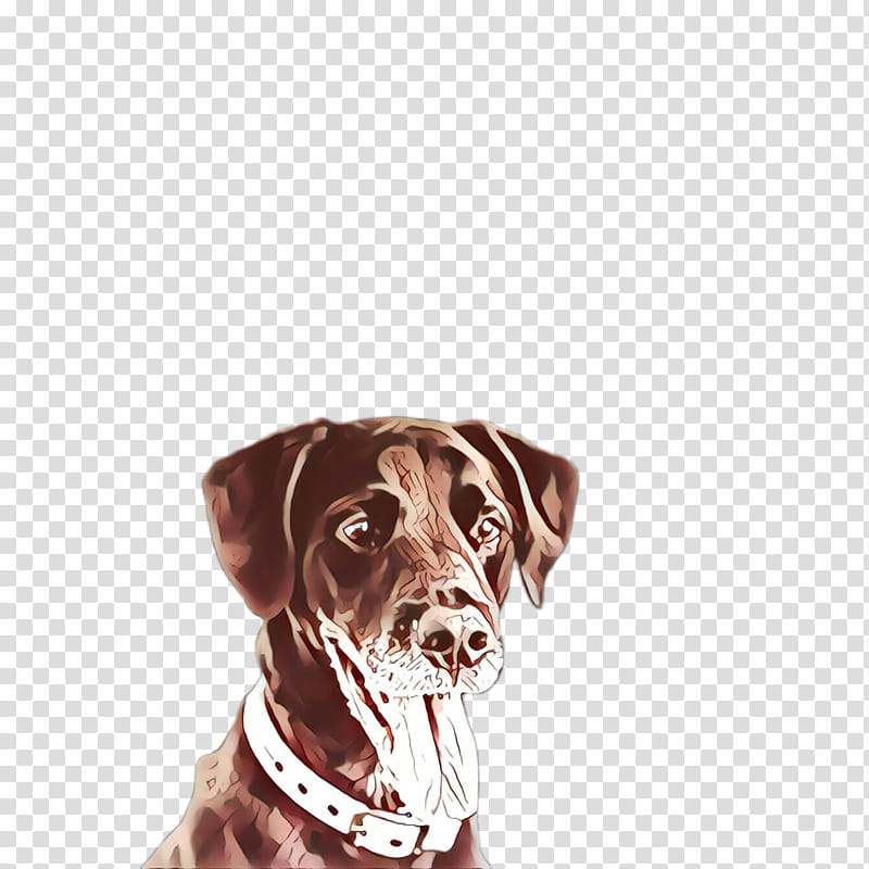 dog dog breed labrador retriever sporting group dog collar, Cartoon, Pointer, Vizsla transparent background PNG clipart