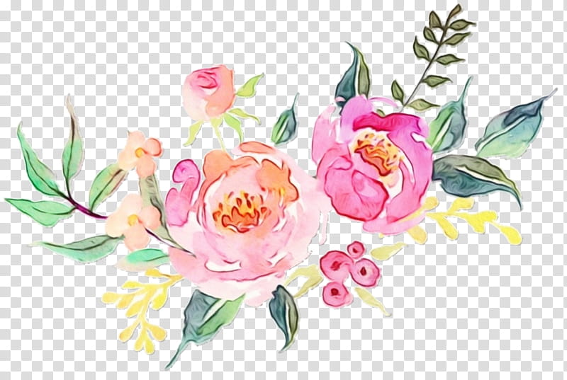 flowering plant flower pink common peony plant, Watercolor, Paint, Wet Ink, Cut Flowers, Watercolor Paint, Chinese Peony transparent background PNG clipart