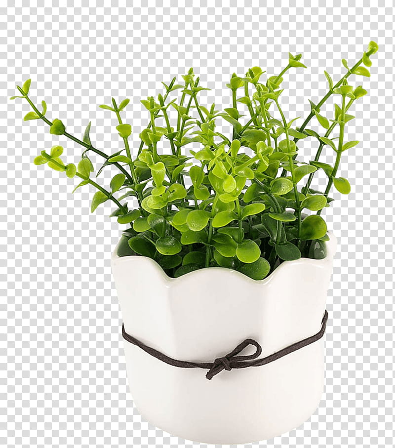 Water, Flowerpot, Hook, Garden, Plants, Container, Moisture, Clothes Hanger transparent background PNG clipart