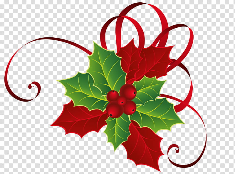 Red Christmas Ornament, Aquifoliales, Christmas Day, Leaf, Flower, Holly, Plant, Grape Leaves transparent background PNG clipart
