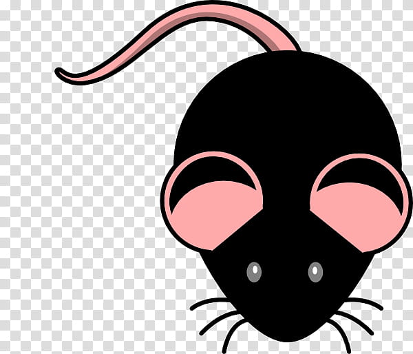 Rat, Computer Mouse, Pointer, Face, Black, Cat, Pink, Nose transparent background PNG clipart