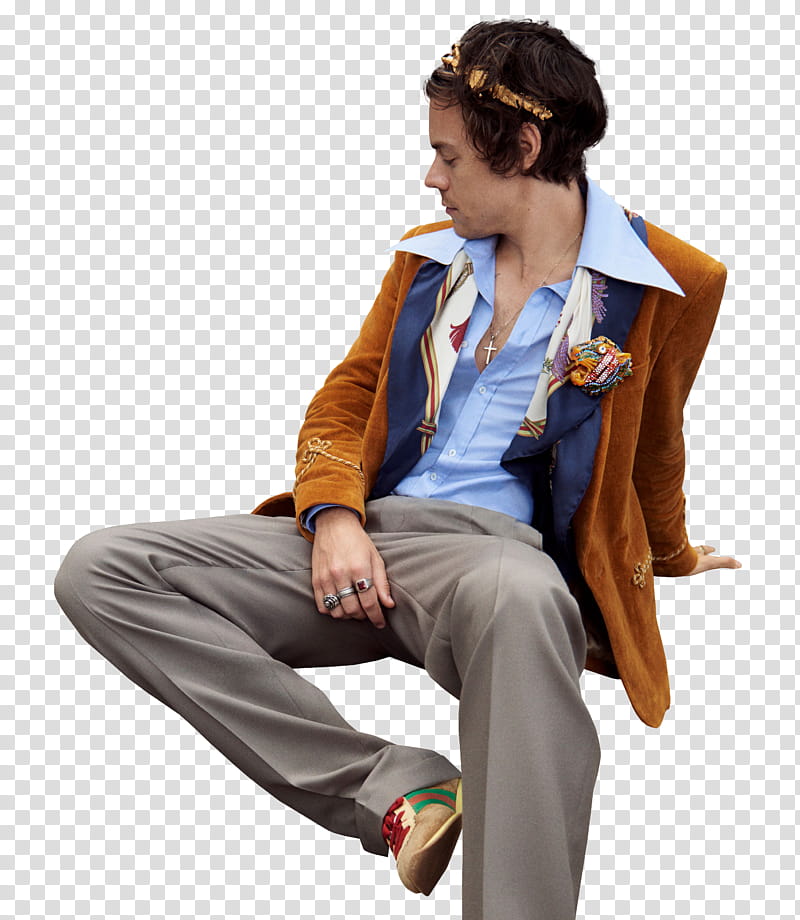 HARRY STYLES transparent background PNG clipart