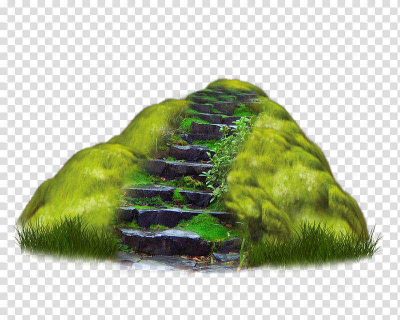 Grassy Steps, green grss transparent background PNG clipart
