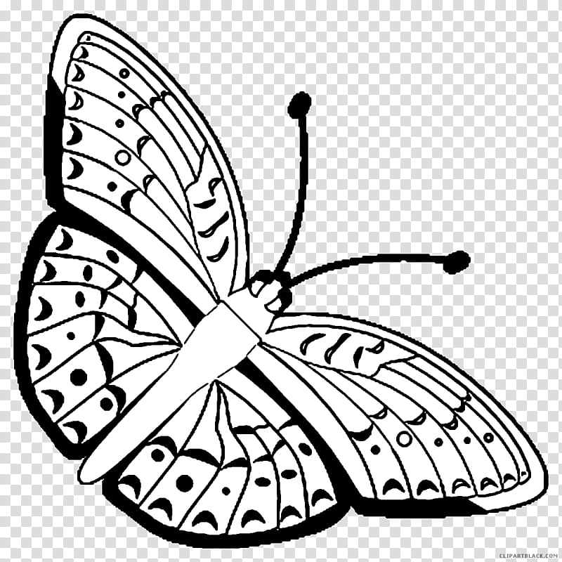 Black And White Flower, Monarch Butterfly, Brushfooted Butterflies, Drawing, Swallowtail Butterfly, Pterygota, Line Art, Old World Swallowtail transparent background PNG clipart