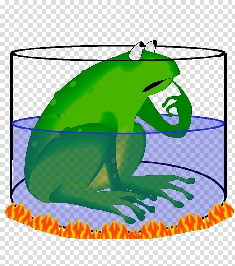 Green Grass, Frog, Amphibians, Tree Frog, Chordate, Lion, Thought, Animal transparent background PNG clipart