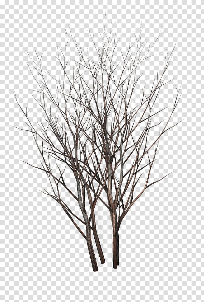 TWD Dead bushes, brown bare tree transparent background PNG clipart