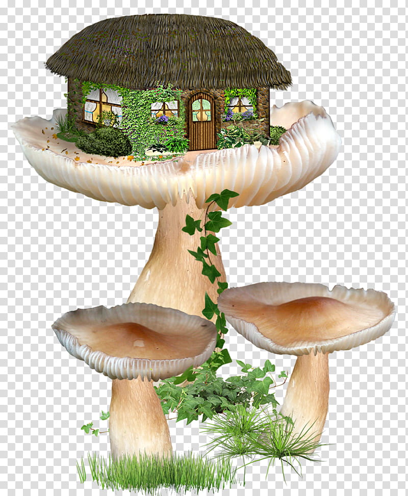 FAIRY fantasy home, mushrooms with house illustration transparent background PNG clipart