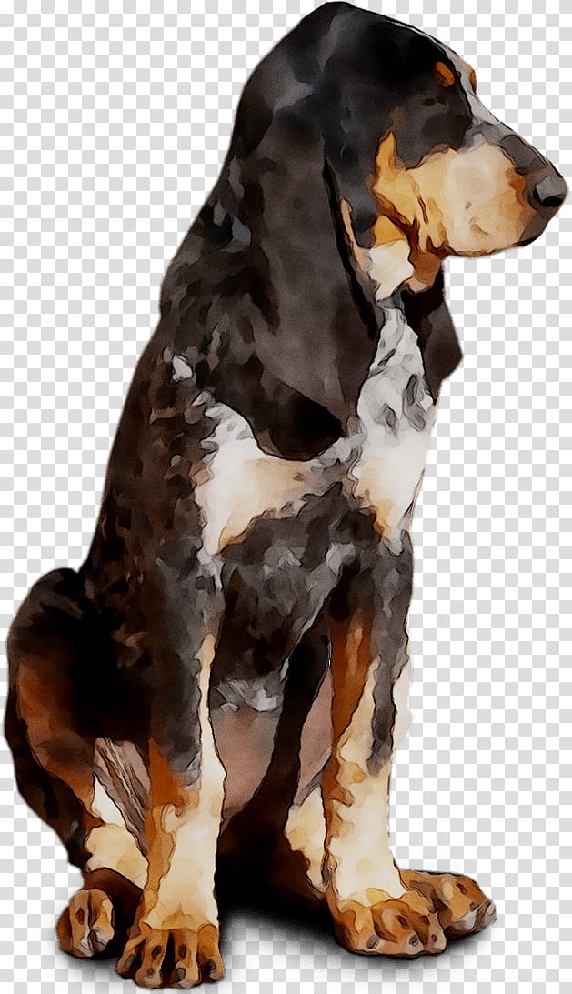 Cartoon Dog, Treeing Walker Coonhound, Black And Tan Coonhound, Finnish Hound, Schweizer Laufhund, Hunting Dog, Scent Hound, Breed transparent background PNG clipart