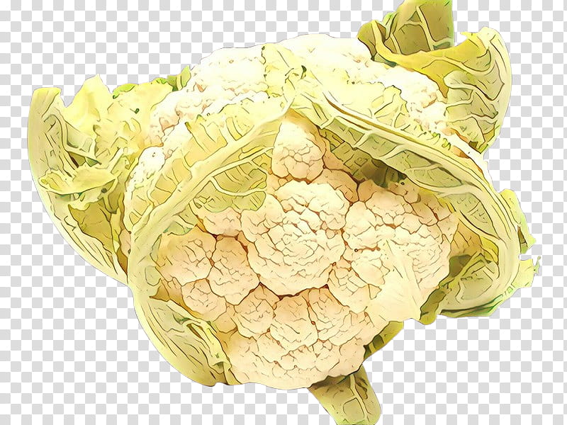 Cauliflower, Cabbage, Wild Cabbage, Leaf Vegetable, Food, Plant, Cut Flowers transparent background PNG clipart