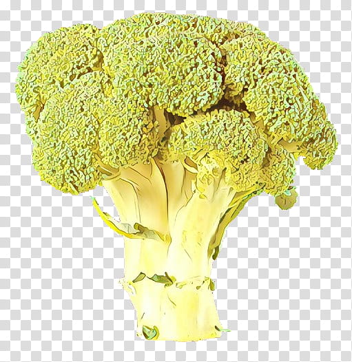 Vegetables, Italica Group, Broccoli, Leaf Vegetable, Cauliflower, Broccoflower, Plant, Food transparent background PNG clipart