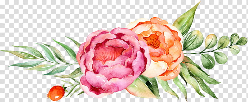 Watercolor Pink Flowers, Watercolor Painting, Floral Design, Drawing, Cactus, Plant, Petal, Cut Flowers transparent background PNG clipart