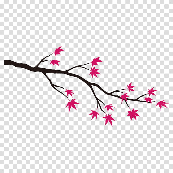 Cherry Blossom Tree, Dog, Twig, Pet Harness, Copenhagen, Plants, Plant Stem, Branch transparent background PNG clipart