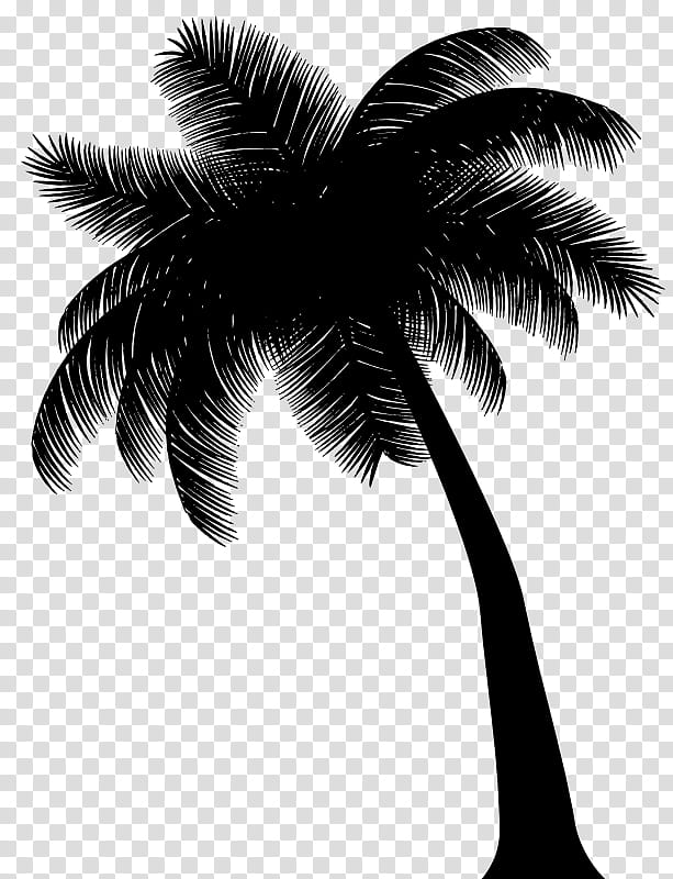 Palm Tree Silhouette, Asian Palmyra Palm, Black White M, Palm Trees, Video, Hashtag, Borassus, Arecales transparent background PNG clipart