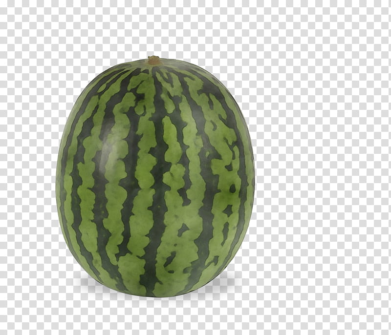 Watermelon, Fruit, Cucurbita Maxima, Peel, Pickling, MINI, Box, Car transparent background PNG clipart