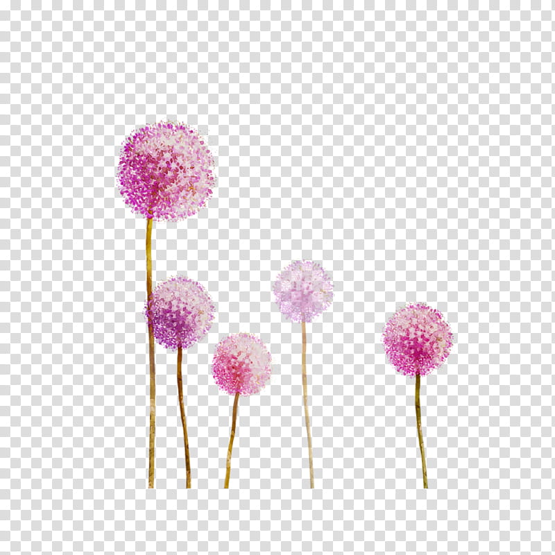 Pink Flower, Pink M, Cut Flowers, Pompom, Plant transparent background PNG clipart