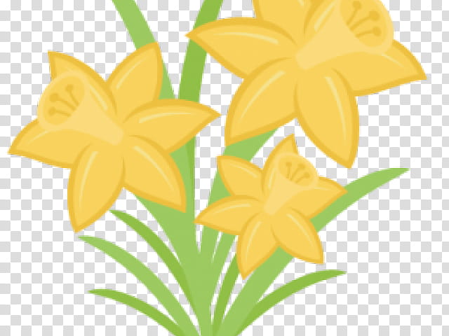 Web Design, Wild Daffodil, Yellow, Flower, Plant, Narcissus transparent background PNG clipart