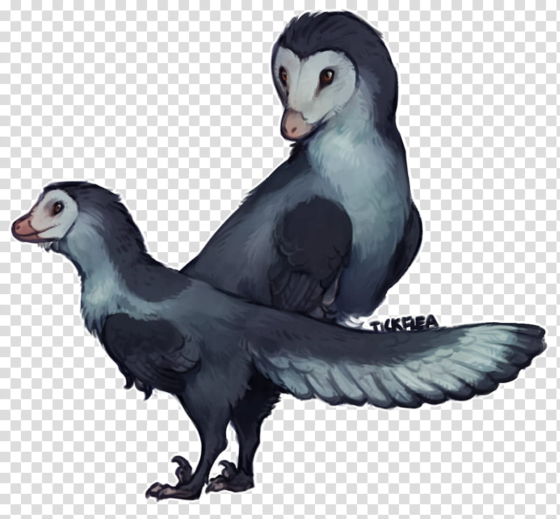 Velociraptor, Anchiornis, Penguin, Bird, Dinosaur, Coelurosauria, Troodontidae, Tyrannosaurus transparent background PNG clipart