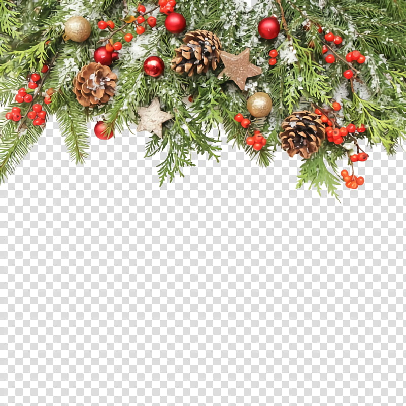 Christmas decoration, Tree, Branch, Plant, Christmas Ornament, Christmas Tree, Holly, Fir transparent background PNG clipart