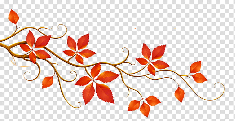 Autumn Leaf Drawing, Tree, Fall Tree, Autumn Leaf Color, Branch, Plant, Flower, Pedicel transparent background PNG clipart