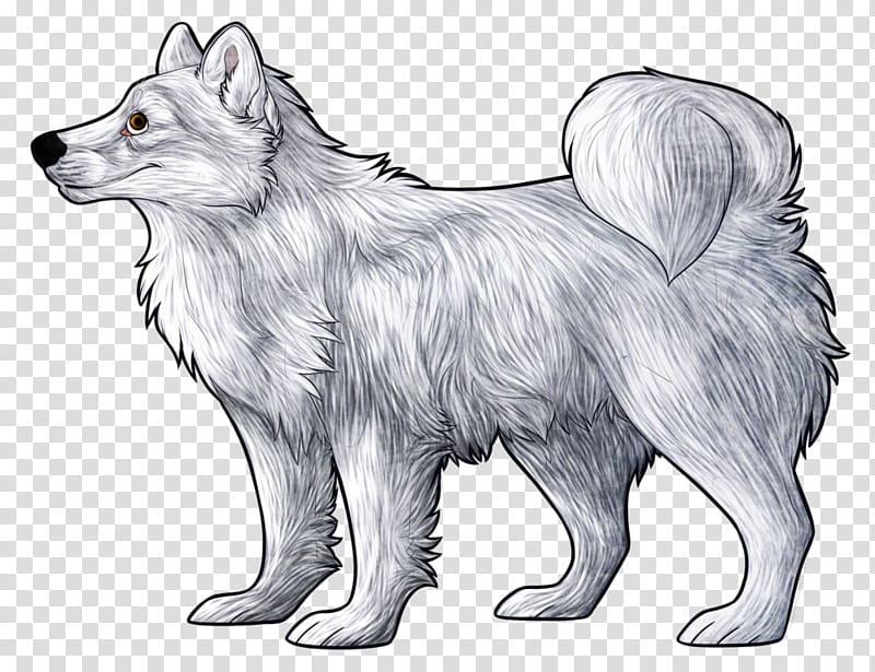 Wolf Drawing, Canadian Eskimo Dog, Sakhalin Husky, Icelandic Sheepdog, Samoyed Dog, Siberian Husky, Akita, American Eskimo Dog, Seppala Siberian Sleddog transparent background PNG clipart