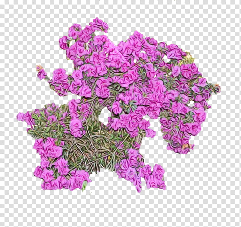 flower plant violet pink cut flowers, Watercolor, Paint, Wet Ink, Purple, Bougainvillea, Petal, Magenta transparent background PNG clipart