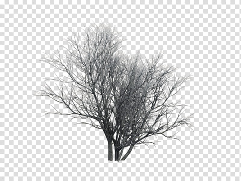 Halloween, gray bare tree illustration transparent background PNG clipart