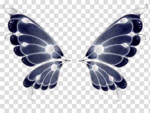 Recursos, blue and white butterfly wings illustration transparent background PNG clipart