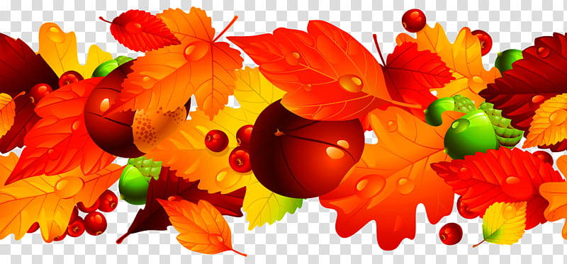 Autumn Fruit, Gostinyy Dvor, Season, Frames, Moscow, Valentin Yudashkin, Orange, Leaf transparent background PNG clipart