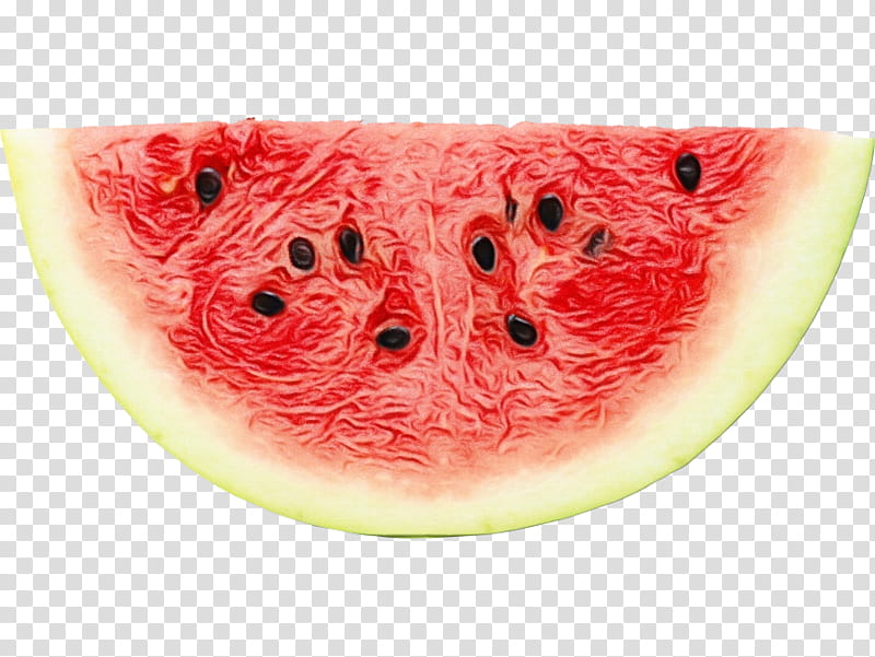 Drawing Of Family, Watermelon, Food, Fruit, Watermelon , Fine Arts, Citrullus, Plant transparent background PNG clipart