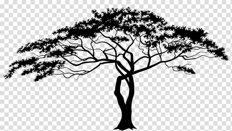 Tree Root, Savannah, Drawing, Internet Meme, Branch, Woody Plant, Plant Stem, Blackandwhite transparent background PNG clipart