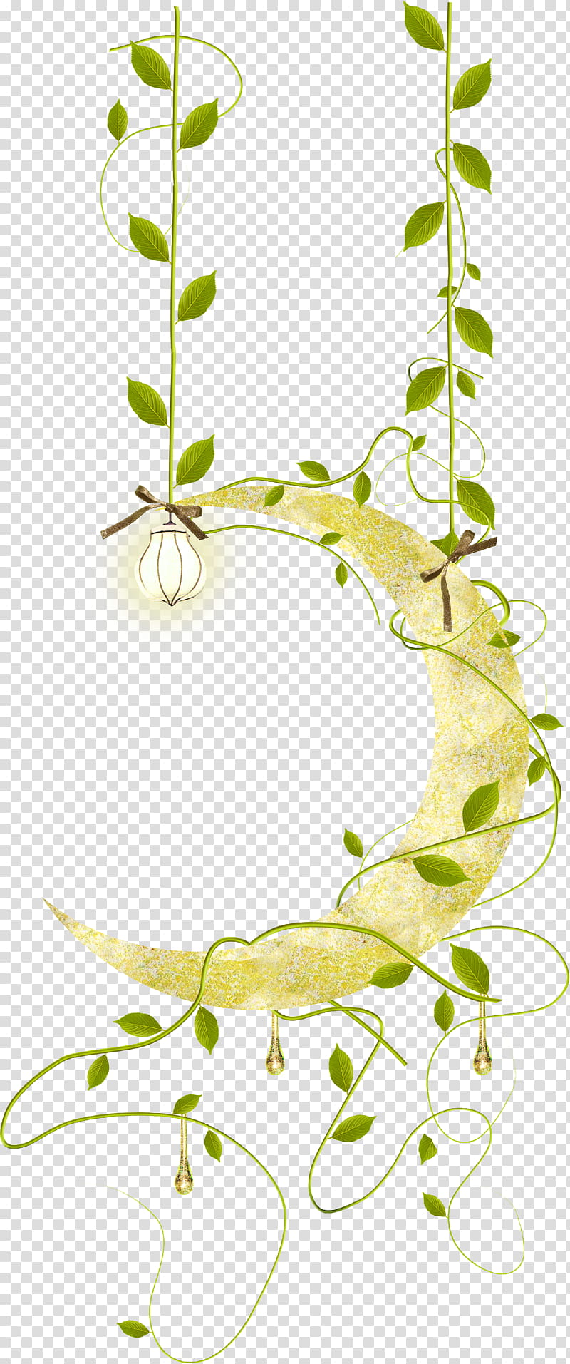 Floral Flower, Twig, Leaf, Plant Stem, Health, Floral Design, Diet, Beslenme transparent background PNG clipart