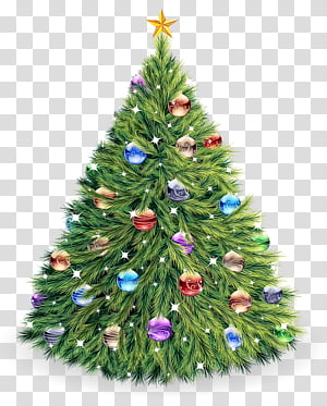 Christmas tree, Watercolor, Paint, Wet Ink, Christmas Decoration, Colorado Spruce, Balsam Fir, Christmas Ornament transparent background PNG clipart thumbnail